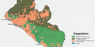 Kaart van plantegroei kaart van Liberië